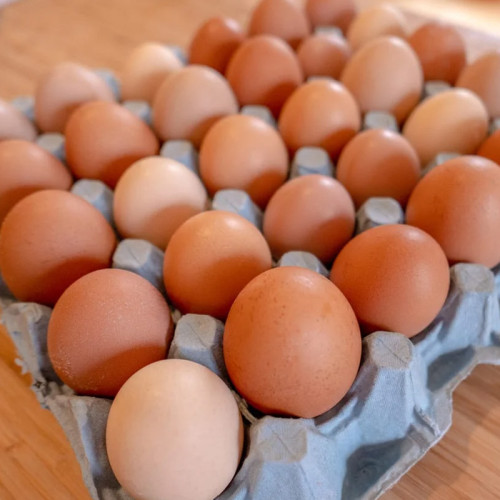 Chicken Eggs – Crates | Buy Online | NduToYou