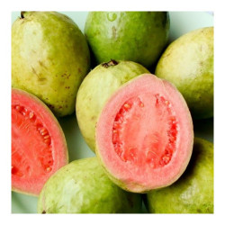 Guava – Per Piece Guava – Per Piece