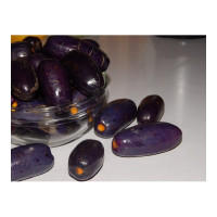 Ube (African Pear) – Pack of 5 Ube (African Pear) – Pack of 5