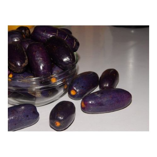 Ube (African Pear) – Pack of 5 Ube (African Pear) – Pack of 5