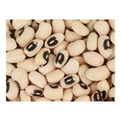 Iron Beans – Per Cup Iron Beans – Per Cup