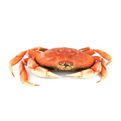 Crab – 500g Crab – 500g