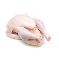 Turkey – Per Kg Turkey – Per Kg