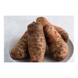 Cocoyam (Ede) – 1 Mudu Cocoyam (Ede) – 1 Mudu