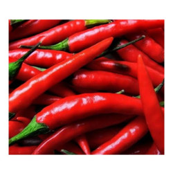 Shombo Pepper – Portion Shombo Pepper – Portion