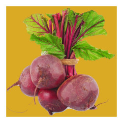 Beetroot – Per Kg Beetroot – Per Kg
