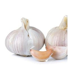 Garlic – Per Bulb Garlic – Per Bulb