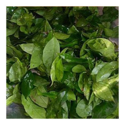 Okazi (Afang) Leaves – Pack Okazi (Afang) Leaves – Pack