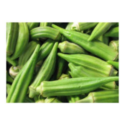 Okra – 1 Mudu Okra – 1 Mudu