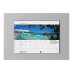 A3 Wall Calendar (7 Sheets) – Pack of 10